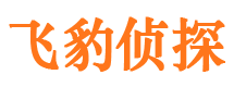 平山外遇调查取证